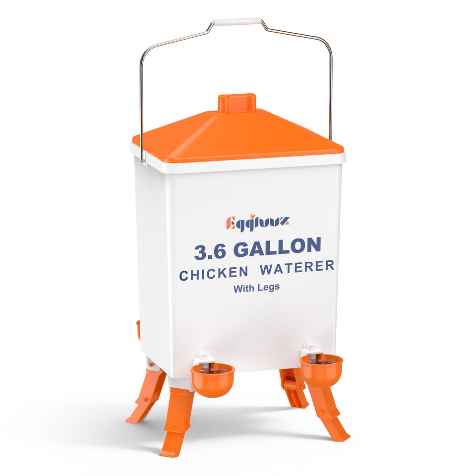 Eggluuz 3.6-Gallon Waterer top view demonstrates hands-free hydration for growing flocks.