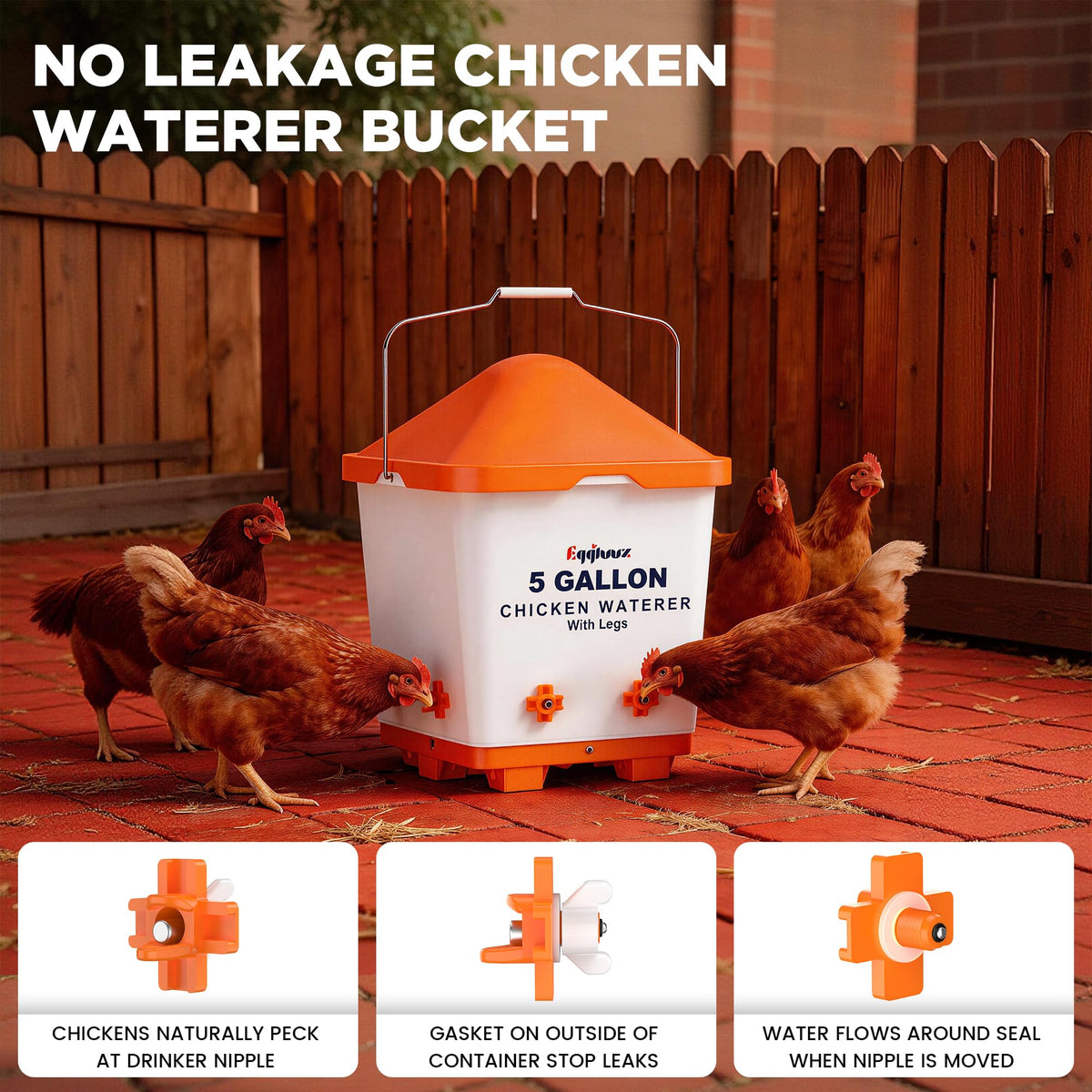 Eggluuz adjustable legs extended to fit different coop heights