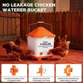 Eggluuz adjustable legs extended to fit different coop heights