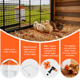 Eggluuz anti-roost cone lid keeps water clean and accessible