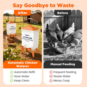 Eggluuz clean-water-coop design keeps water tidy and reduces waste.