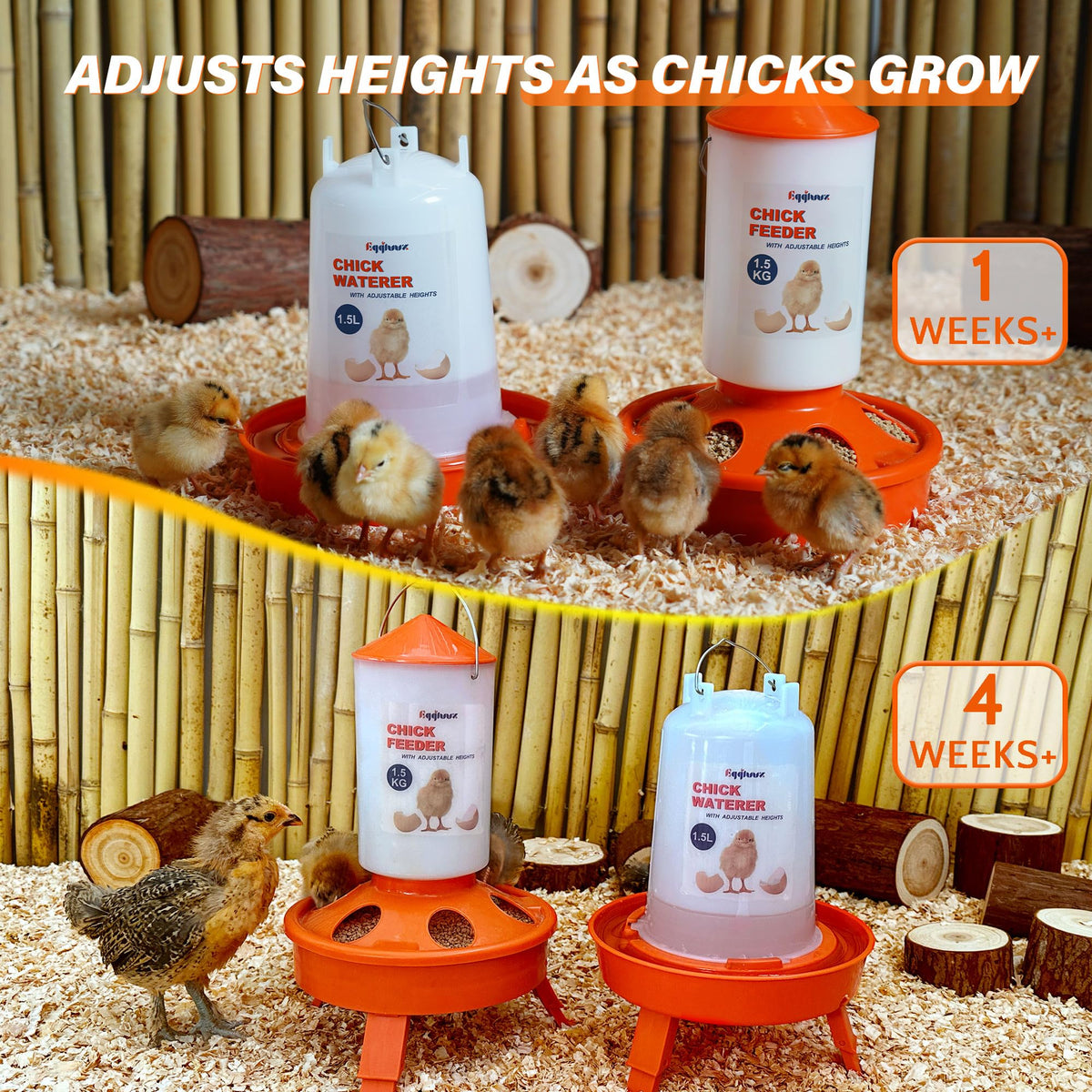 Eggluuz Durable plastic construction for long-lasting coop use