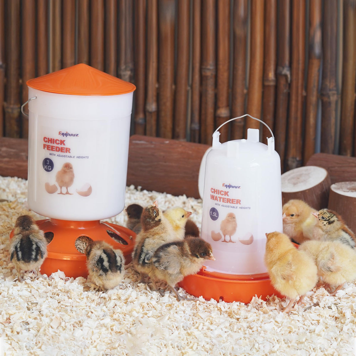 Eggluuz Durable plastic construction built to last in busy coops