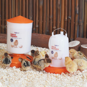 Eggluuz Durable plastic construction built to last in busy coops
