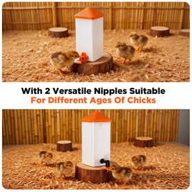 Eggluuz easy-refill waterer supports quick maintenance and hygiene