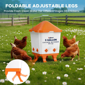 Top-fill design enables fast water replenishment for flocks