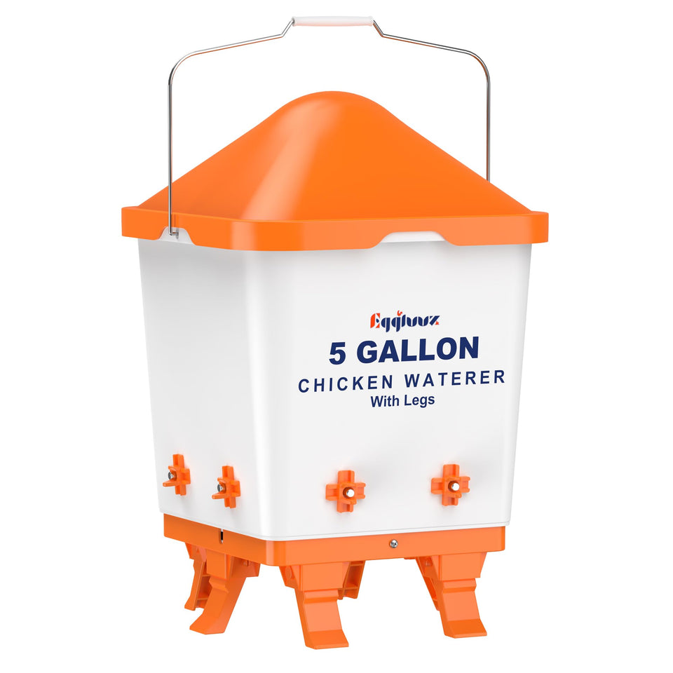 Eggluuz 5-gallon waterer top view with reservoir for easy refills