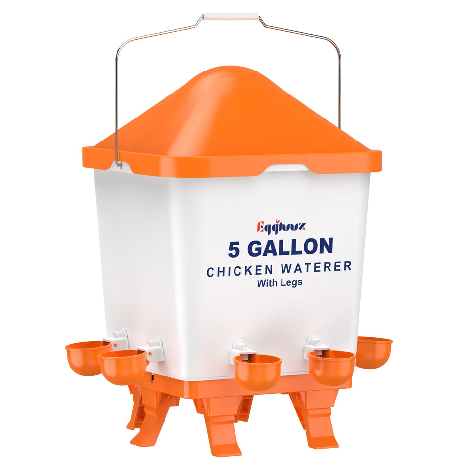 Eggluuz 5-gallon waterer bucket showing large capacity for steady flock hydration