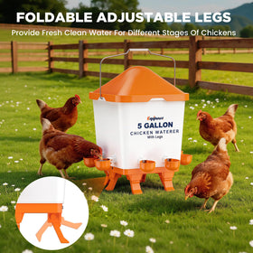 Eggluuz adjustable legs set to coop height for different age groups