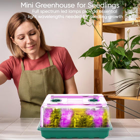 Eglotes full-spectrum grow light boosts vibrant early growth for young plants.