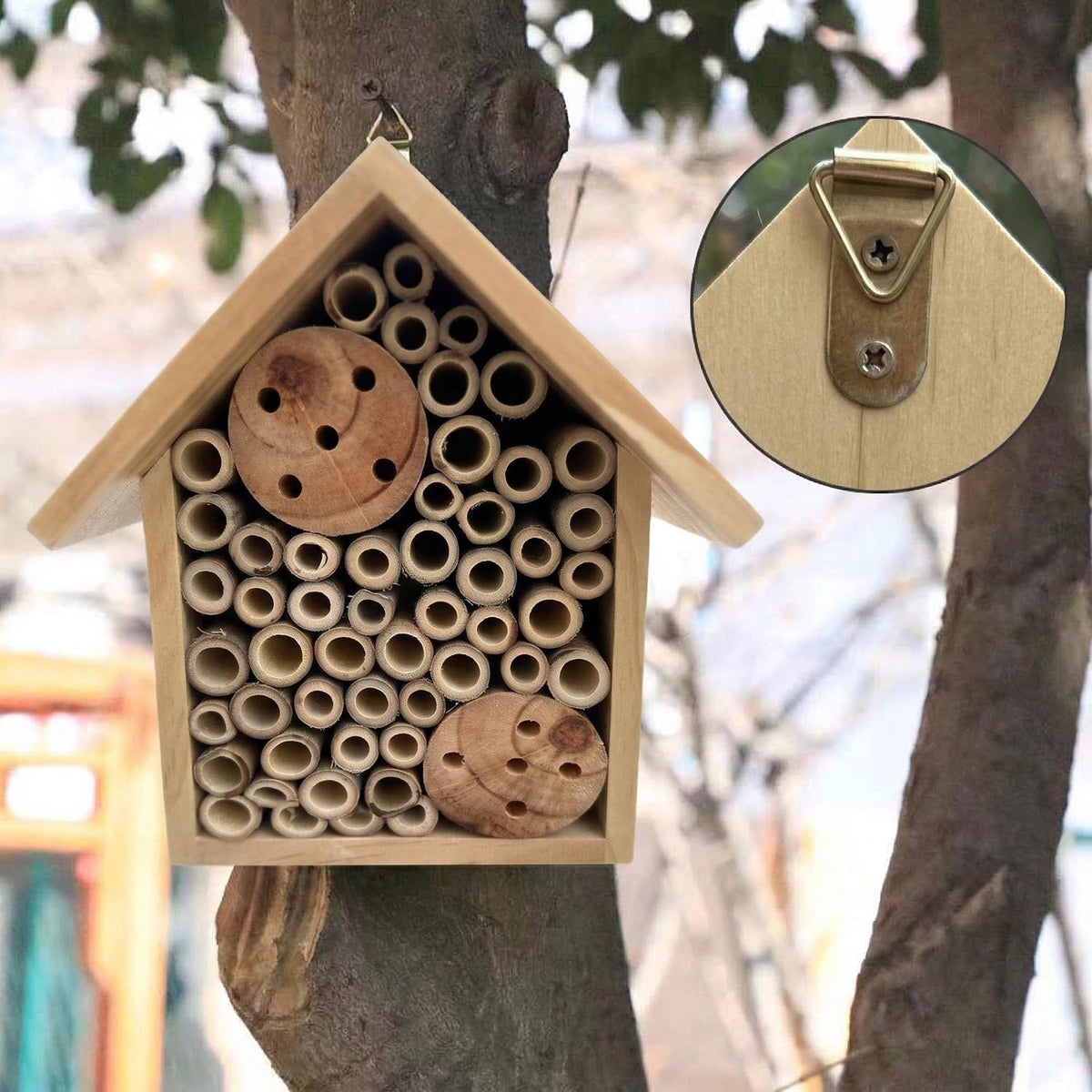 Varied diameter bamboo tubes in EGREE house invite different pollinators.