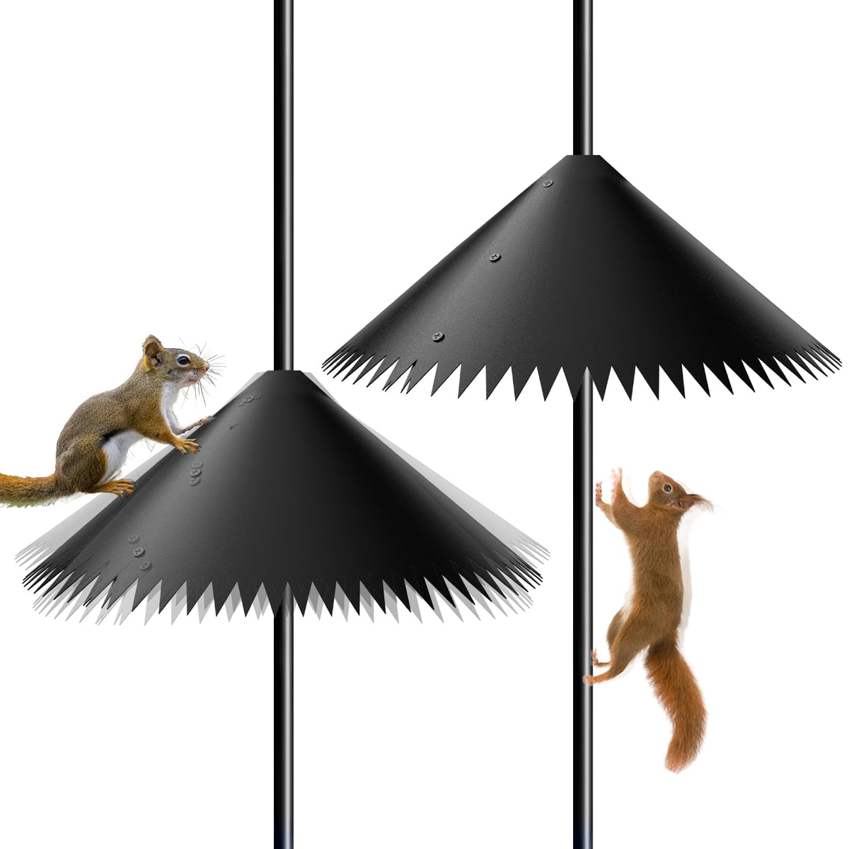 EHK 2-pack wide squirrel baffle shields bird feeders from persistent squirrels.