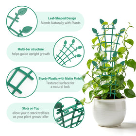 Ehpiern trellis ideal for pothos, ivy, and philodendron displays.