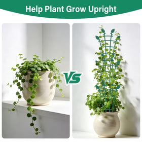 Ehpiern trellis robust climbing support keeps pothos and ivy upright.