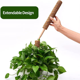 Eibikdi 13ft jute rope for tying growth.