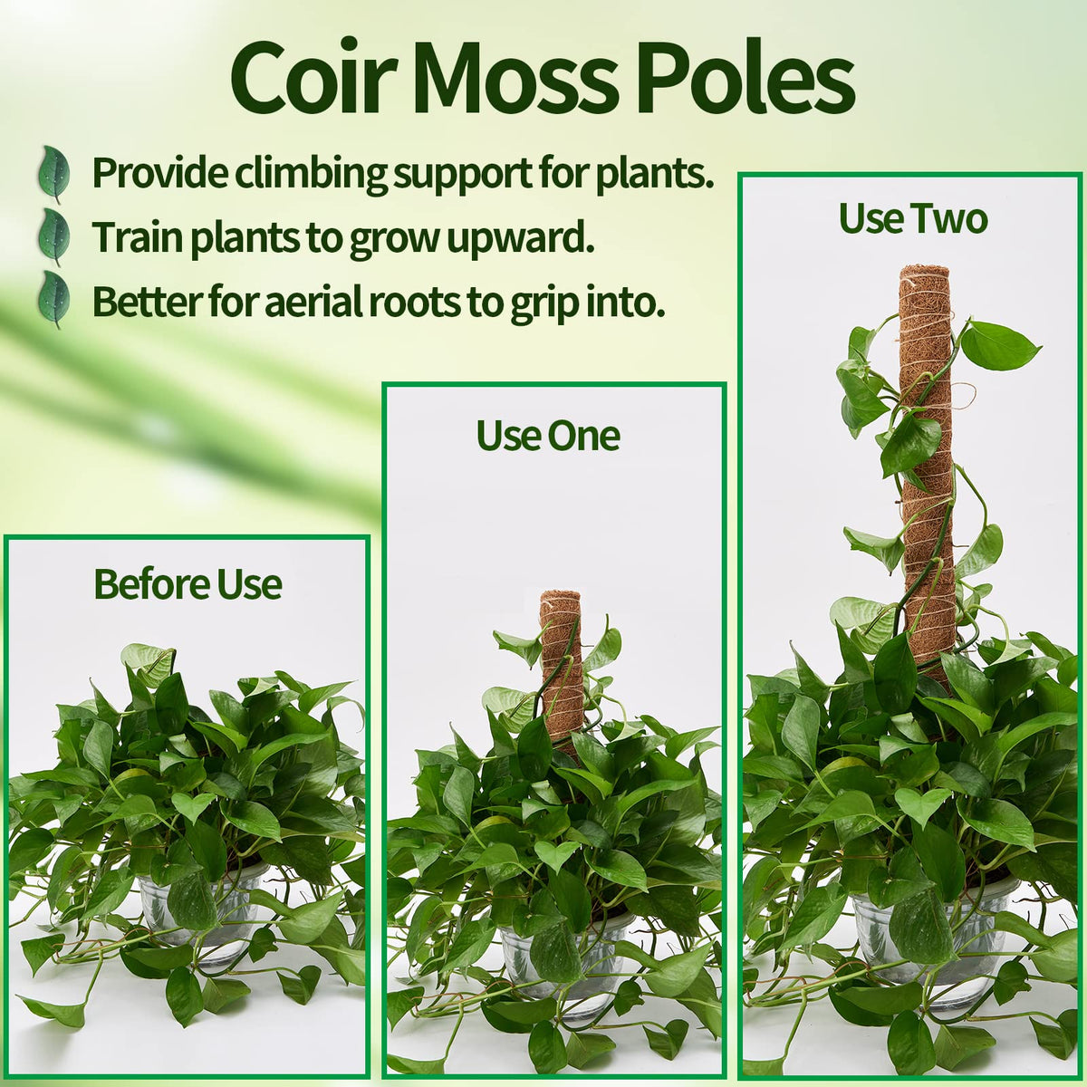 Eibikdi natural coconut fiber moss pole enhances plant stability with a gentle grip.
