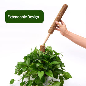 Eibikdi gentle plant support sticks prevent damage while guiding growth.