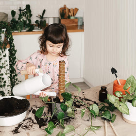 Eibikdi gift-ready packaging ideal for plant lovers.