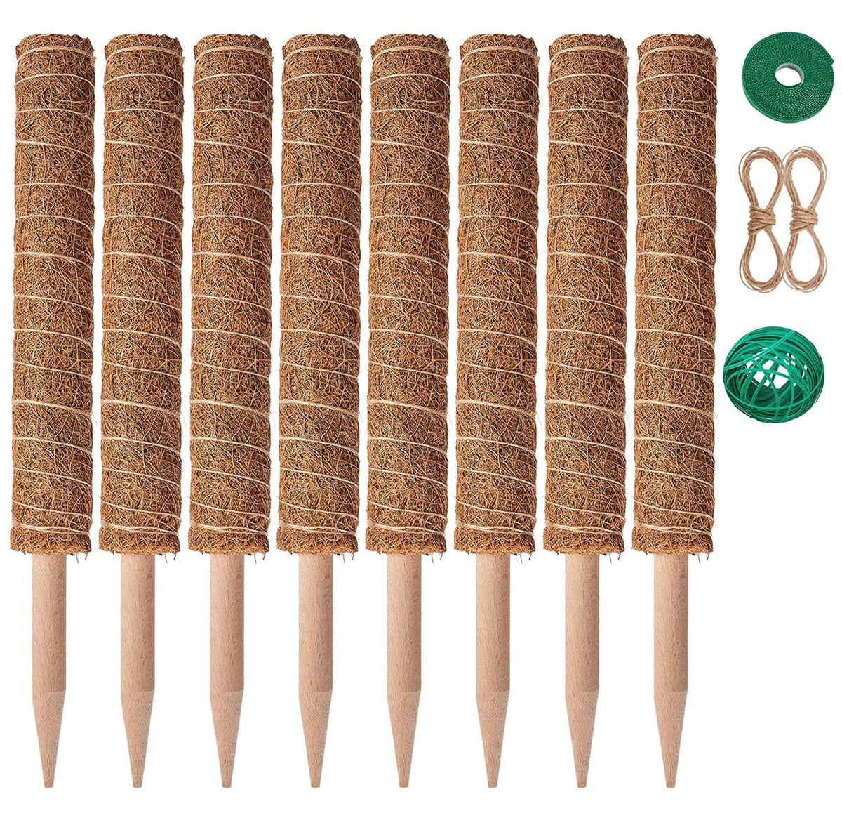 Eibikdi moss pole assembly supports upward plant growth.