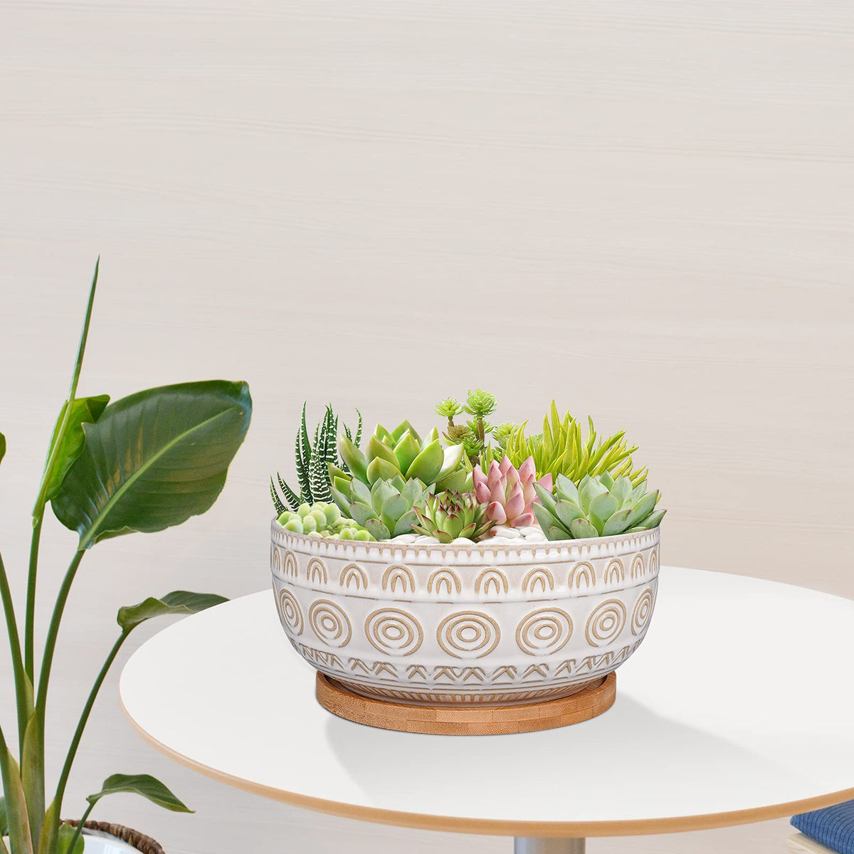 Eightpot gift-for-plant-lovers offers a practical, stylish present
