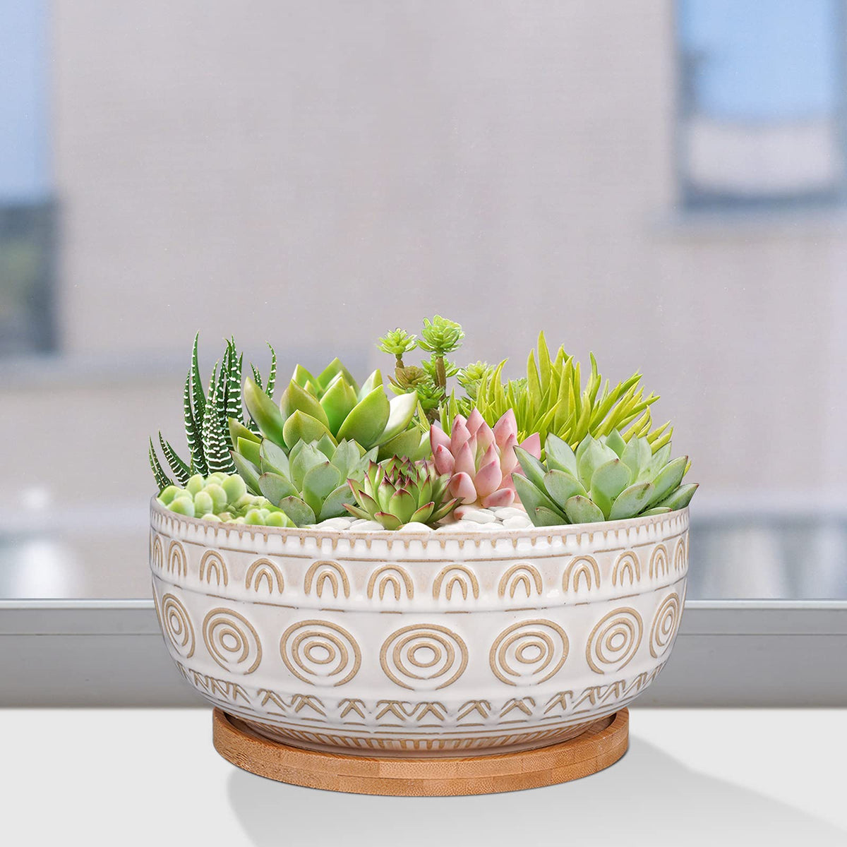 Eightpot office desk plant display brings a fresh focal point to work