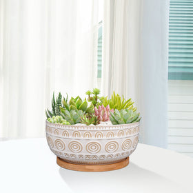 Eightpot succulent-plants-on-shelf adds greenery to small spaces