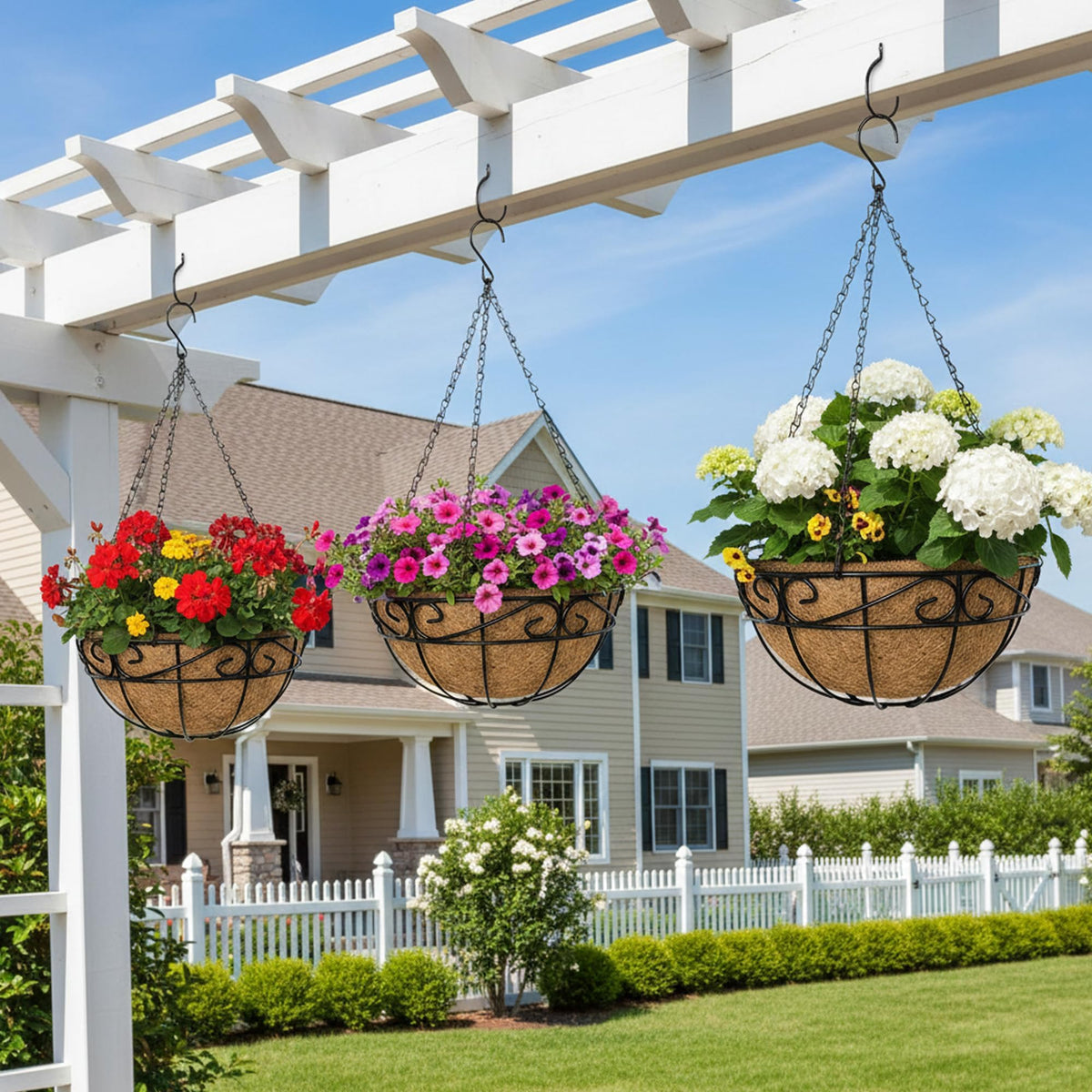 EIMQUVW two-pack benefits allow coordinated garden border displays.