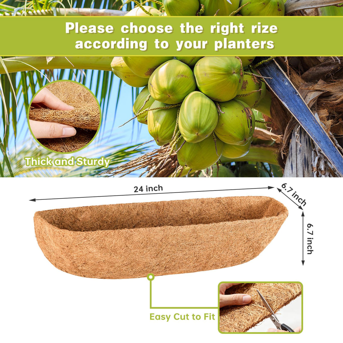 EINYEXW half-moon coconut liner for wall boxes fits many boxes and looks neat
