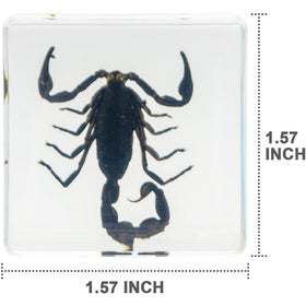EJLIFEBOX blocks in hand to show scale and durable acrylic benefit for handling