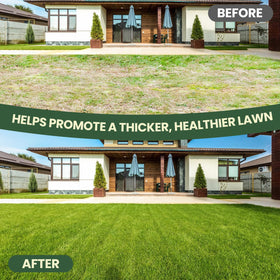 EKIORI gardener gift idea for DIY lawn care enthusiasts