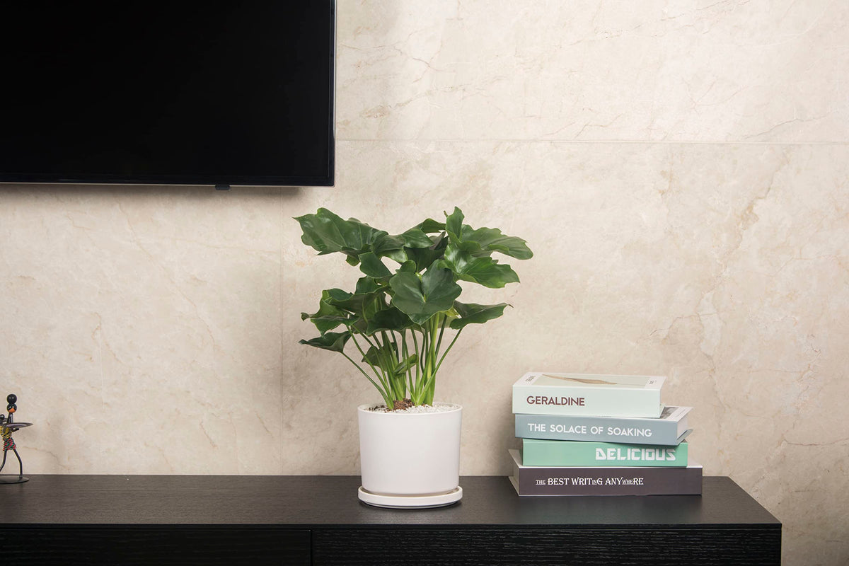 Ekirlin flower pot with drain hole supports plant health and clean surfaces.