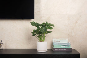 Ekirlin flower pot with drain hole supports plant health and clean surfaces.