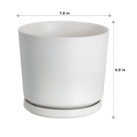 Ekirlin modern succulent planter enhances any indoor greenery display.
