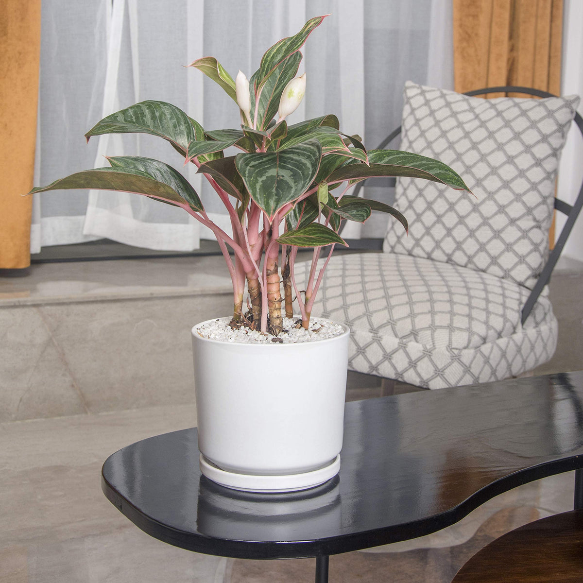 Ekirlin white ceramic pot elevates shelves and desks with minimalist style.