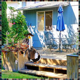 EKOREST porch goose outfit spring design brightens gardens and entryways.
