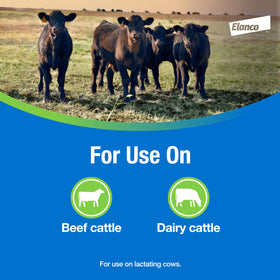 Elanco CyLence pour-on for dairy cattle helps reduce pests on lactating cows.