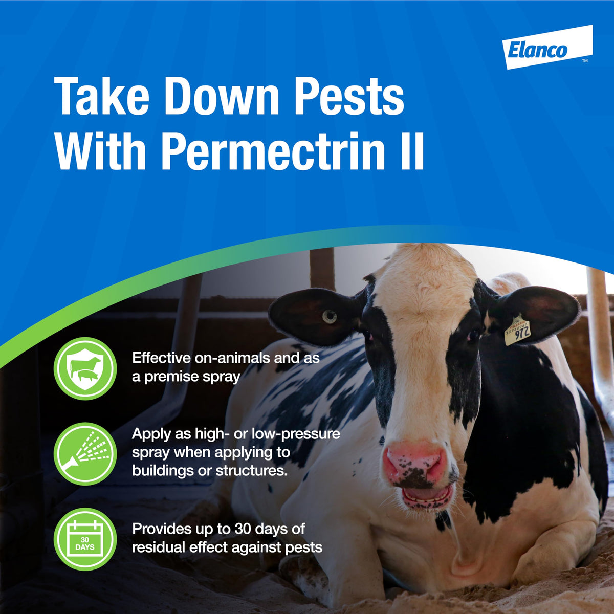 Elanco Permectrin II livestock pest control for cattle, swine and more.