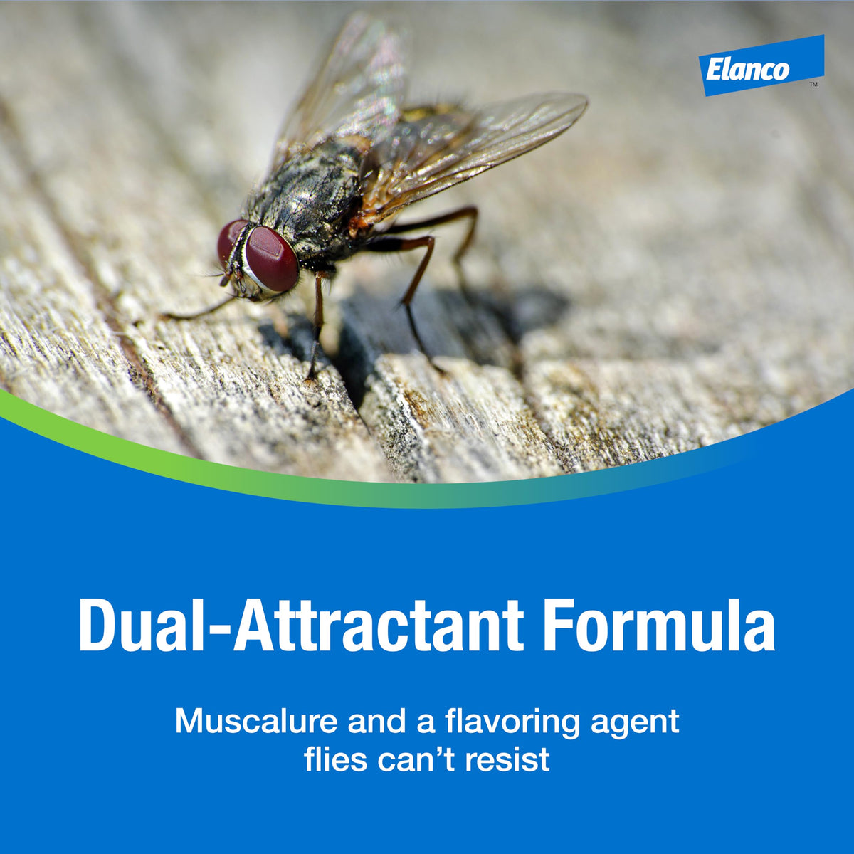 Surfaces like walls, posts and beams receiving spray in fly-prone areas.