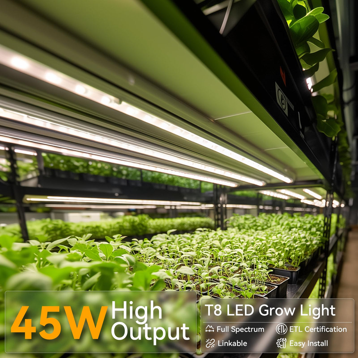Elaruslux 5000K daylight full-spectrum for reliable plant light