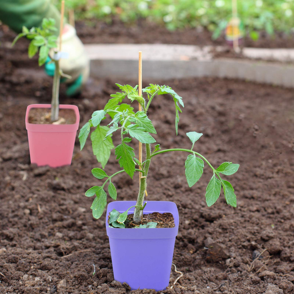 Elcoho includes plant labels to keep seedlings organized during setup.
