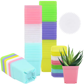 Elcoho 60-pack square multicolor pots with saucers for home, garden, or office decor.
