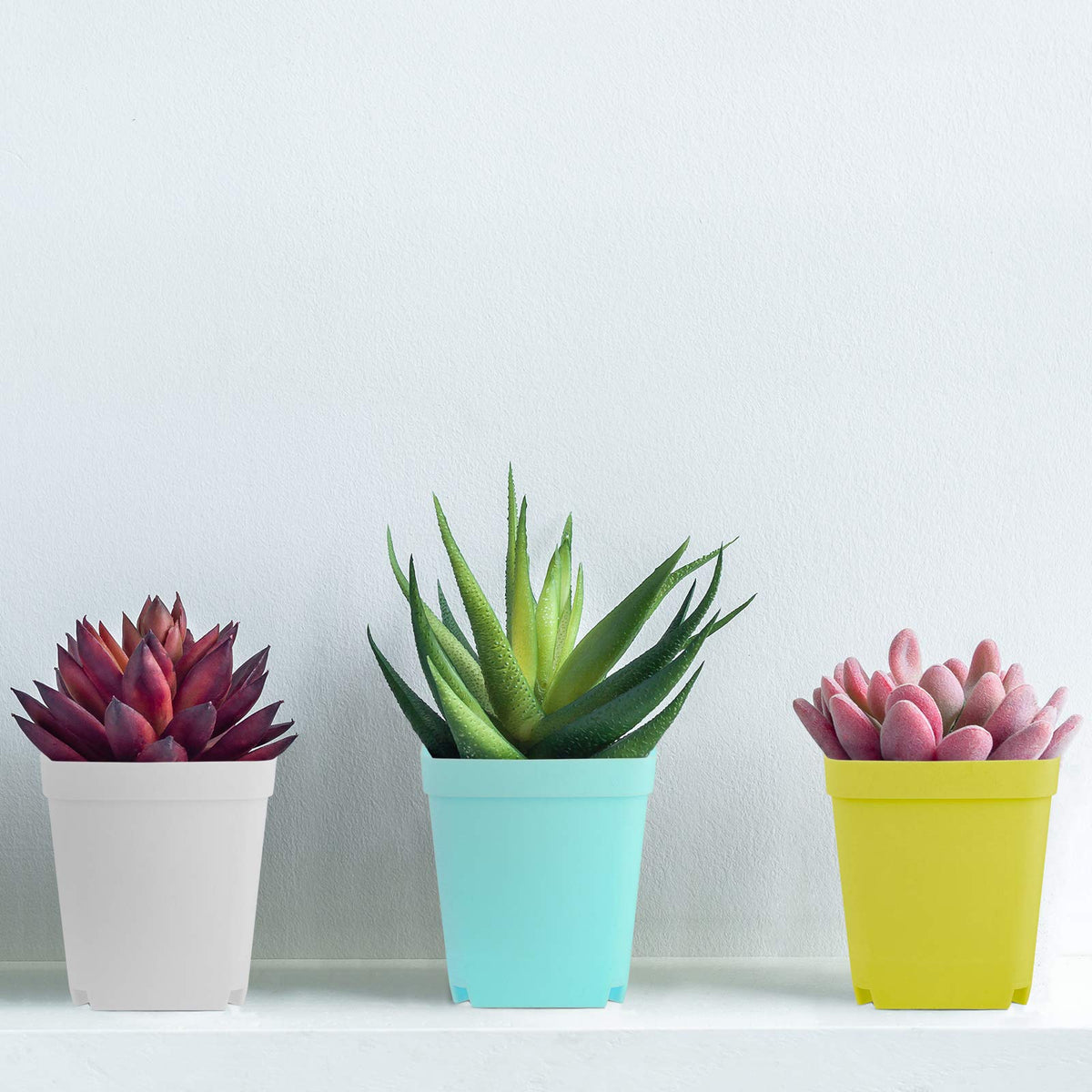 Elcoho color-variety pots help organize herbs, vegetables, and small plants.