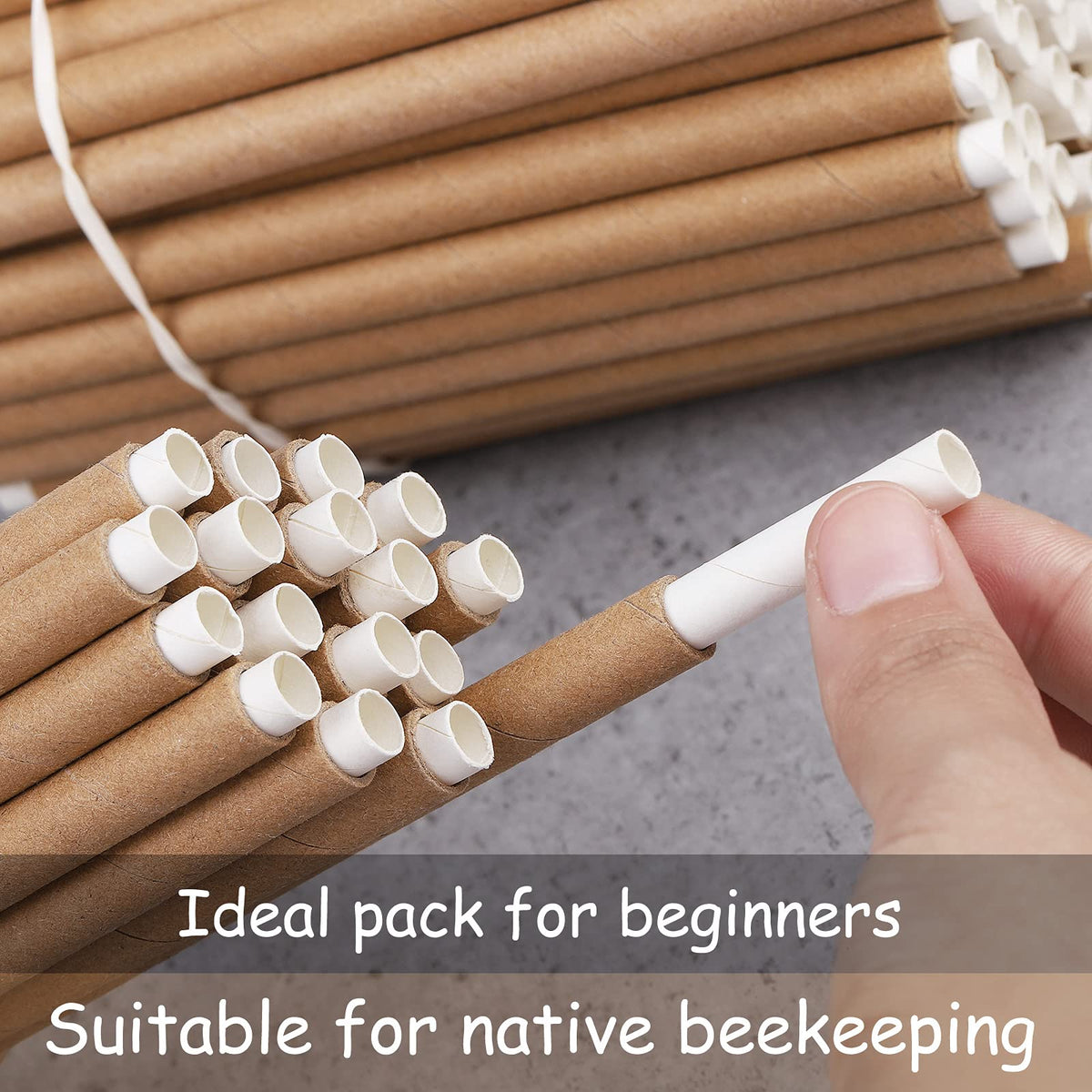 Elcoho outdoor bee nest kit supports simple DIY setups.