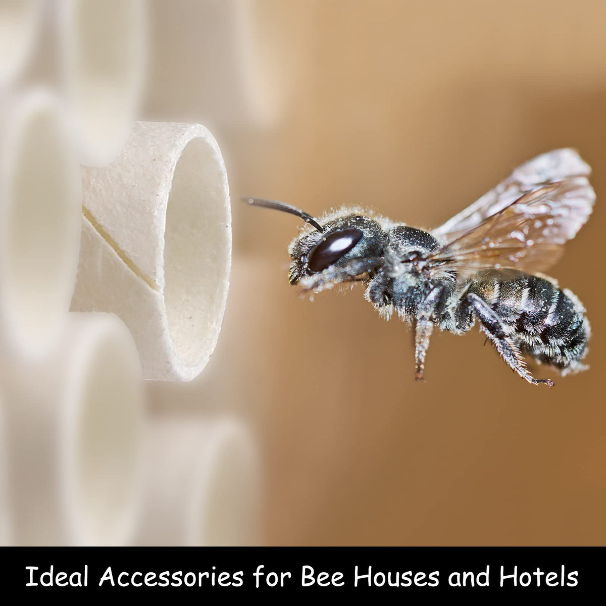 Elcoho paper inserts for nest tubes maintain clean, tidy housing.