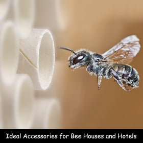 Elcoho paper inserts for nest tubes maintain clean, tidy housing.