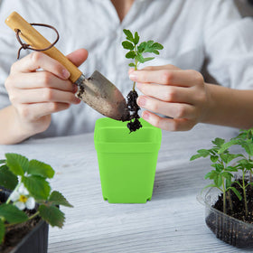 Elcoho pots include saucers to protect surfaces from spills.