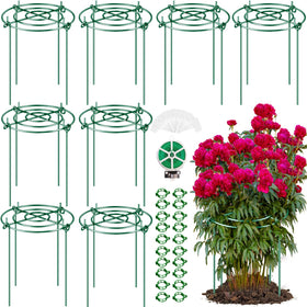 Elefama peony cage with grid top provides sturdy support for upright blooms.