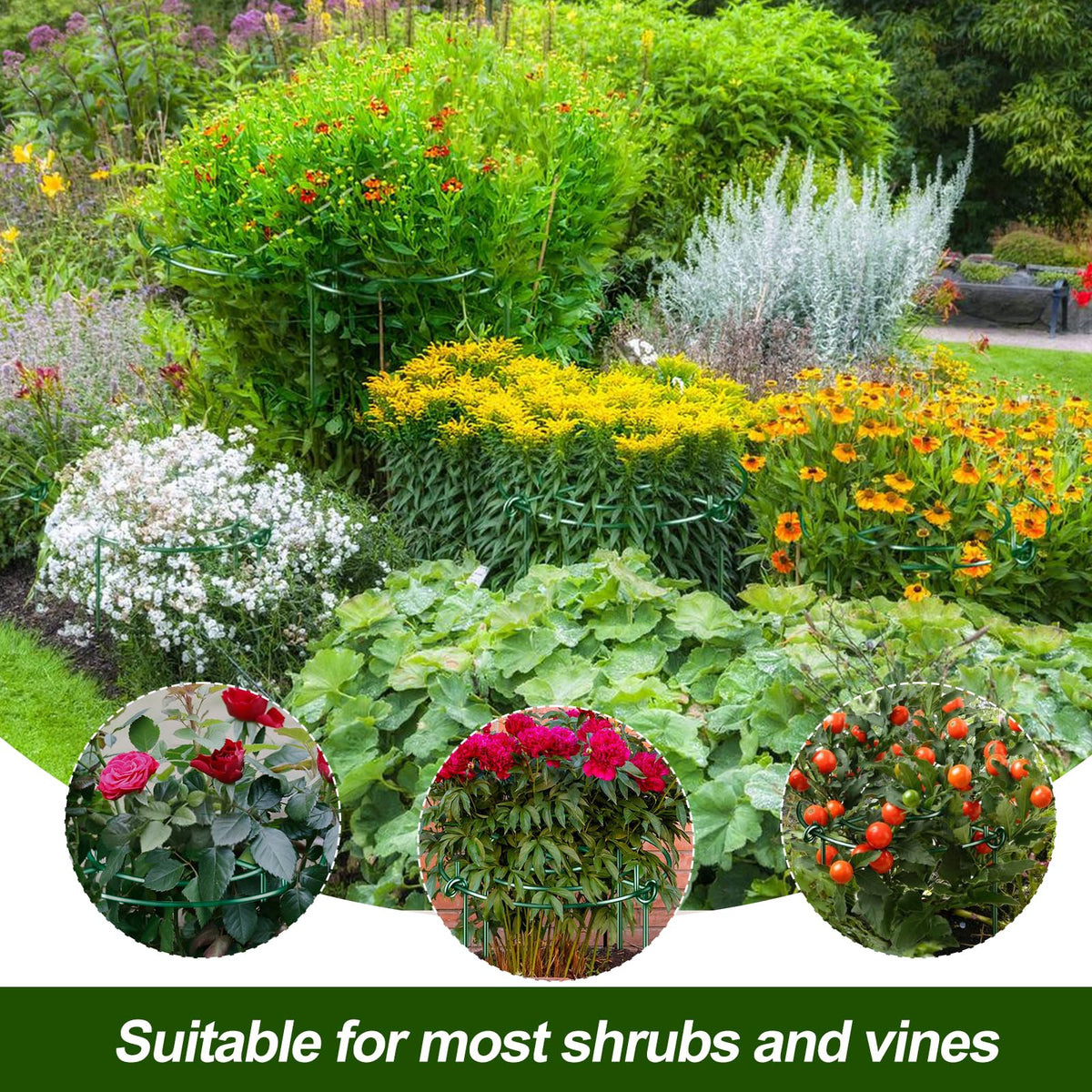 Indoor or outdoor use keeps peonies, roses, and tomatoes tidy.