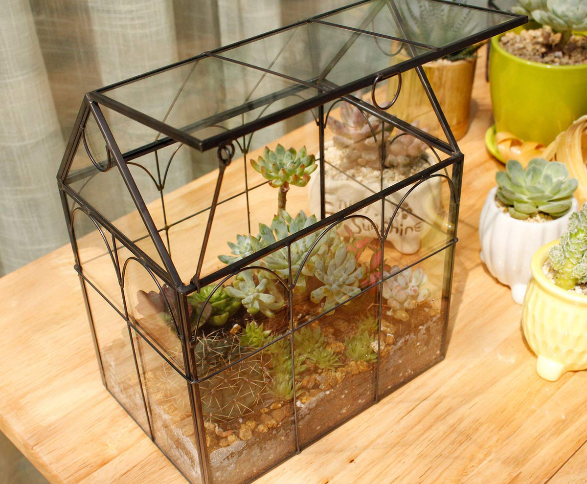 ElegantLife bottom-not-waterproof design helps prevent root rot during care