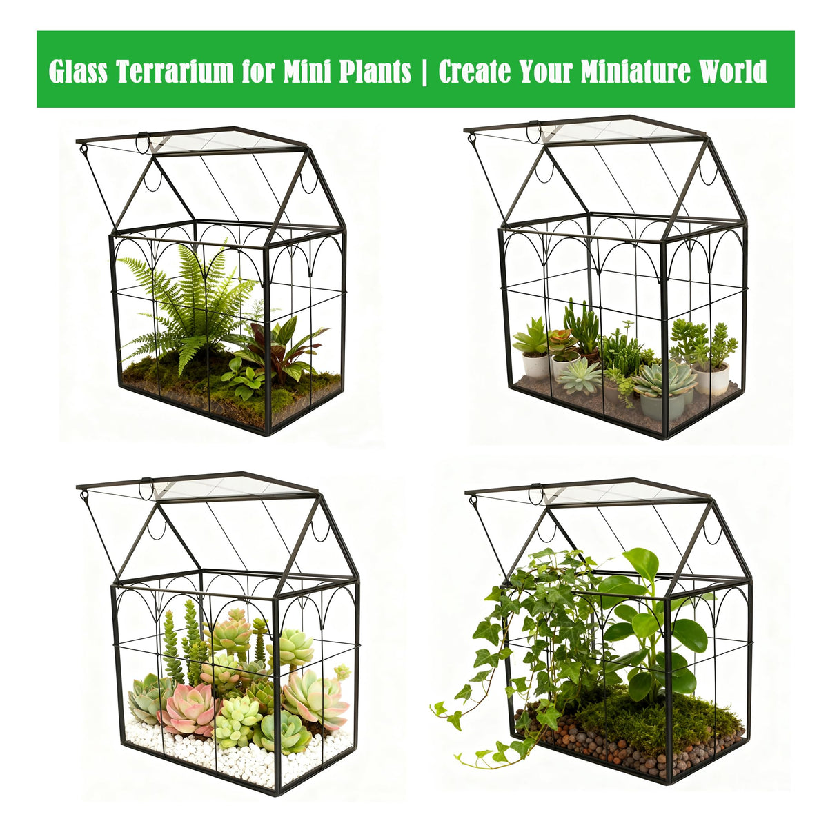 ElegantLife clear glass terrarium highlighting plant arrangement